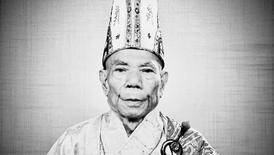 Chân dung Trưởng lão Hòa thượng Thích Thiện Phương, Thành viên Hội đồng Chứng minh GHPGVN