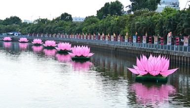 7 đóa sen hồng được hạ thủy trên dòng kênh Nhiêu Lộc, chuẩn bị lễ thắp sáng vào tối ngày 8-4-Giáp Thìn