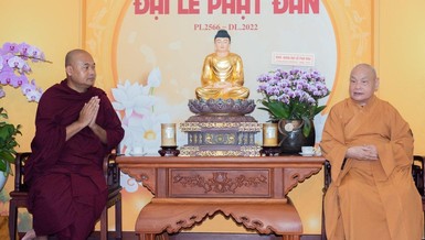 Thượng tọa Dhammapiya vấn an sức khỏe đến Hòa thượng Thích Thiện Nhơn - Ảnh: Đăng Huy
