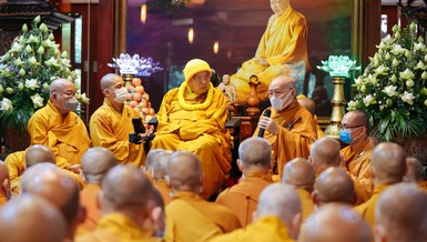 Xuân trong cửa Thiền