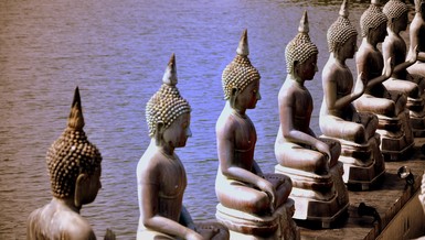 Nhất thiết chúng sinh giai hữu Phật tính