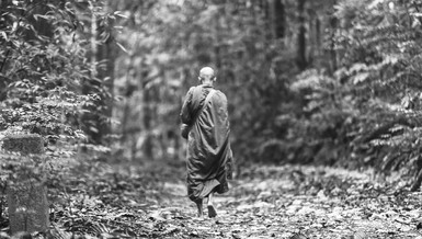 Cốt lõi của hạnh đầu-đà là xa rời quần chúng, sống độc cư nơi hoang vắng để giành thời gian cho việc tu tập, nỗ lực thực hành thiền định. 