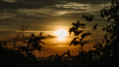 "Có bốn loại thức ăn giúp ích cho chúng sanh, khiến cho chúng sanh được tồn tại, được bảo hộ và nuôi lớn" - Ảnh: Phùng Anh Quốc