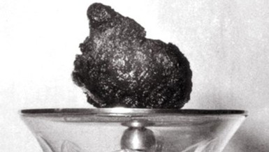 [Trái tim bất tử] Kỳ cuối: Bí mật trái tim linh thiêng