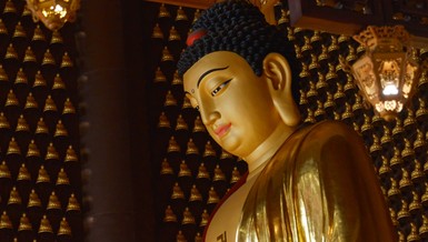 Ảnh: Bảo Toàn/BGN