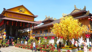 Sắc xuân tại các tự viện trên địa bàn Q.8 (TP.HCM) 