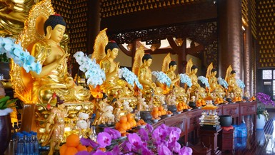 Ảnh: Bảo Toàn/BGN