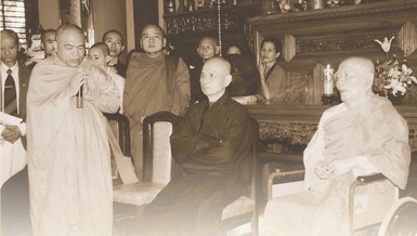 Đức Từ bi... nở sen xanh