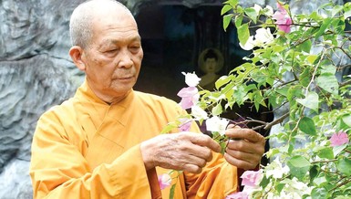 Trưởng lão Hòa thượng Thích Thiện Thành, Ủy viên Thường trực Hội đồng Chứng minh, Chứng minh Ban Trị sự GHPGVN tỉnh Quảng Nam, trụ trì chùa Hưng Quang - Ảnh: BGN