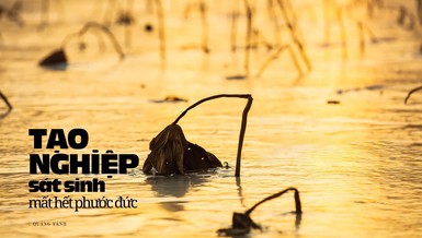 Bài trên Báo Giác Ngộ số 1287 - Thiết kế: Phòng Mỹ thuật BGN/Tống Viết Diễn