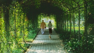 Nơi bình yên tuổi xế chiều, hay nơi để tuổi trẻ mở trải cả tâm và trí đều gắn với thiên nhiên - Ảnh: L.Đ.L