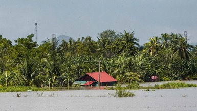 Chia sẻ yêu thương với đồng bào bị bão lũ tại Thanh Hóa, Nghệ An
