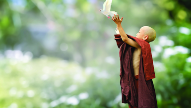 Qua việc thiền định, người tu hành học cách mở rộng lòng từ đến tất cả chúng sinh, tạo ra tâm trạng từ bi và hòa ái, giúp loại bỏ các cảm giác căng thẳng, giảm lo âu, hận thù, và bạo lực; bảo vệ sự sống của muôn loài thông qua tâm không hại và tâm hộ trì