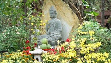 [Ảnh] Đầu năm về thăm các tổ đình, chùa cổ tại TP.HCM