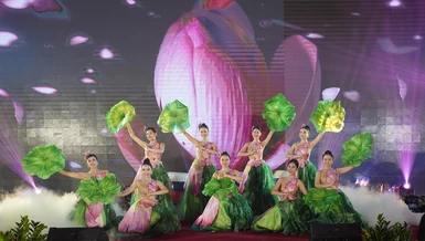 Văn nghệ giao lưu văn hóa Việt - Hàn