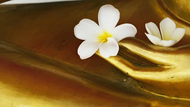 Khi cái tôi bị khuấy động