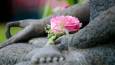 Dù cho tu học theo bất cứ tông phái, hệ phái hoặc dòng truyền thừa nào, Giới-Định-Tuệ vẫn là xương sống, là điểm quy chiếu của Chánh pháp