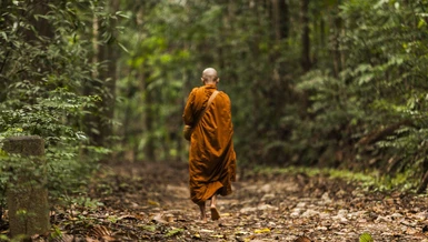 Mỗi bước chân bạn đi sẽ gây ra lực tác động lên chính cơ thể. Điều tiên quyết để bước chân đi nhẹ nhàng, ít tạo ra phản lực có hại chính là việc khoảng cách mỗi sải chân nên ngắn