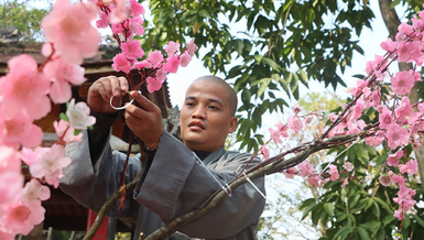 Trang hoàng cảnh chùa đón Tết