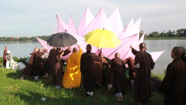 Quý Hòa thượng và các Tăng Ni sinh Học viện Phật giáo VN tại Huế đưa sen tiếp nước sông Hương