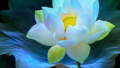 Hòa thượng Tinh Vân: Phụ nữ lấy nhu làm điểm mạnh