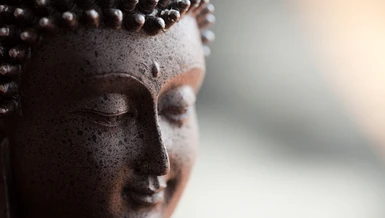 Khi đã tin hiểu và sống an vui trong Phật pháp thì bấy giờ sự phát nguyện sống theo Phật pháp của bạn sẽ rất mạnh mẽ, ý chí hướng thiện của bạn sẽ mãnh liệt, và tự khắc các xung đột nội tâm sẽ lắng dịu, mọi tâm ác đều bị phước đức thiện lành nhiếp phục. 