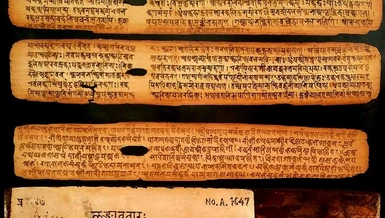 Một số phiến kinh Lăng-già (Laṅkāvatāra Sūtra) viết trên lá bối - Ảnh tư liệu