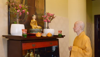 [Ảnh] Đầu năm chiêm nghiệm pháp ngữ của các bậc Thầy, chư tôn túc Hòa thượng