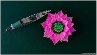 Lại một mùa sen