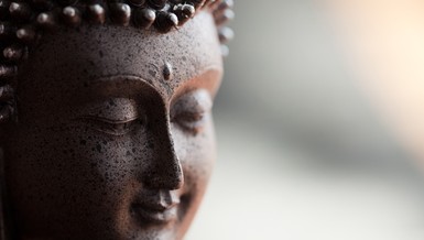 Phật giáo không phải là tôn giáo theo như nghĩa mà Tây phương gán cho tôn giáo, nghĩa là có siêu việt, có tín điều, có Thượng đế, có sức nặng chủ lực của lòng tin. Phật giáo đặt nặng trên kinh nghiệm, trên chứng ngộ của bản thân, không có tín điều. Thái độ của Phật giáo không đi ngược với khoa học