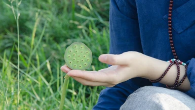 Ảnh minh họa của Khánh Nhi