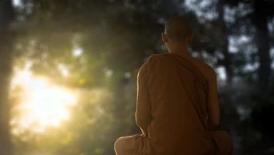 Thiền định làm việc để chữa lành khổ đau của tâm, có thể nói thêm rằng tiến trình chữa cho thân được ảnh hưởng tốt bởi sự thực hành chánh niệm tỉnh giác.