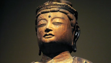 Quan Thế Âm được biết đến từ rất sớm trong quá trình phát triển của các học thuyết Đại thừa và cho đến khi Phật giáo biến mất khỏi Ấn Độ, đã rất được sùng mộ tại đó. Việc thờ phượng Ngài chuyển từ Ấn Độ sang Đông Nam Á và Java - rất hưng thịnh tại đó một thời, và cũng ở Nepal, Tây Tạng (nơi Ngài đến cùng lúc với Phật giáo và tại đó vua Srong-btsan Sgampo, khoảng năm 617-650 được coi là sự nhập thế của Ngài), và ở Trung Hoa, từ đó Ngài tiến đến chinh phục Triều Tiên và Nhật Bản...