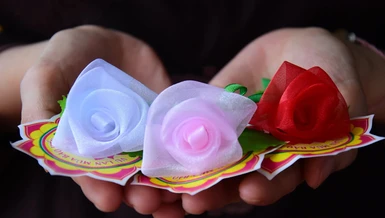 Hoa hồng Vu lan mùa Hiếu hạnh