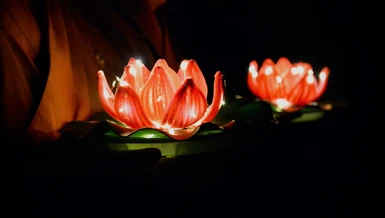 Ảnh: Bảo Toàn/BGN