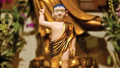 Từ hình tướng sơ sanh đến biểu tượng siêu việt, thanh tịnh của Đấng Giác ngộ, bậc Ly dục