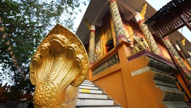 Ngôi chùa độc đáo với nhiều tượng rắn ở TP.HCM