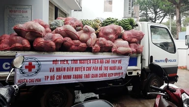  Người dân huyện Chư Păh (Gia Lai) với những chuyến nông sản hỗ trợ TPHCM