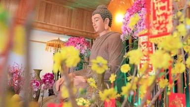 Hương sắc mùa xuân tại tu viện Hạnh Phúc, thành phố Sarasota, Florida, Hoa Kỳ