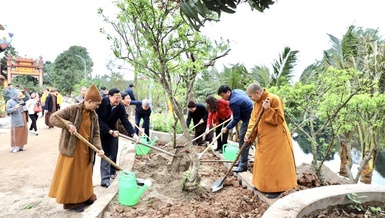 Chùa Minh Ngộ phát động Tết trồng cây