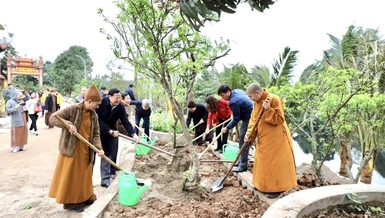 Chùa Minh Ngộ phát động Tết trồng cây