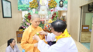 Cài hoa hồng Vu lan