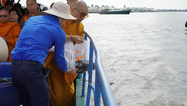 Thượng tọa Thích Quảng Lộc cùng chư tôn đức thả cá xuống sông Tiền