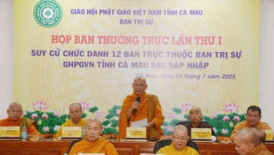 Ban Thường trực Ban Trị sự tỉnh cử chức danh các ban chuyên môn trực thuộc