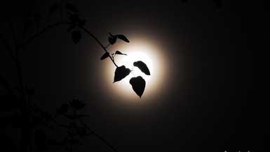 Ví dụ mặt trăng 