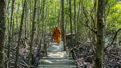 Kham nhẫn hoàn hảo