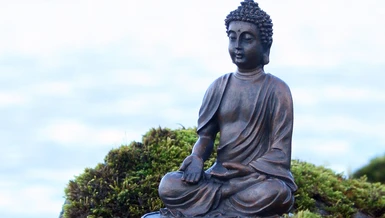 Sáu cơ sở kiến chấp