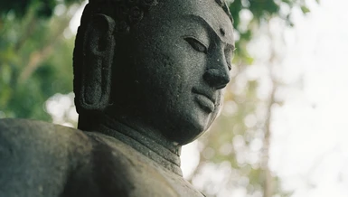 Tại sao người ta đau khổ?
