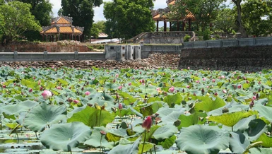 Bản lĩnh trí thức Việt Nam đối với triều đình Trung Quốc trước và sau công nguyên qua sử liệu