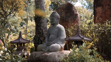 Ảnh: Quảng Đạo